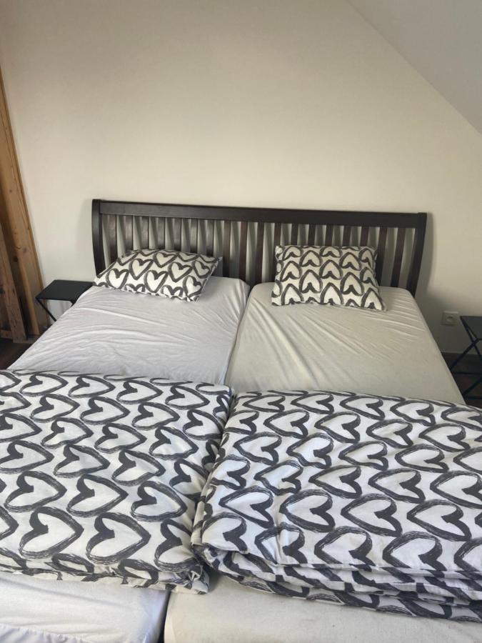 Horsky Apartman Pod Jestedem Daire Liberec Dış mekan fotoğraf